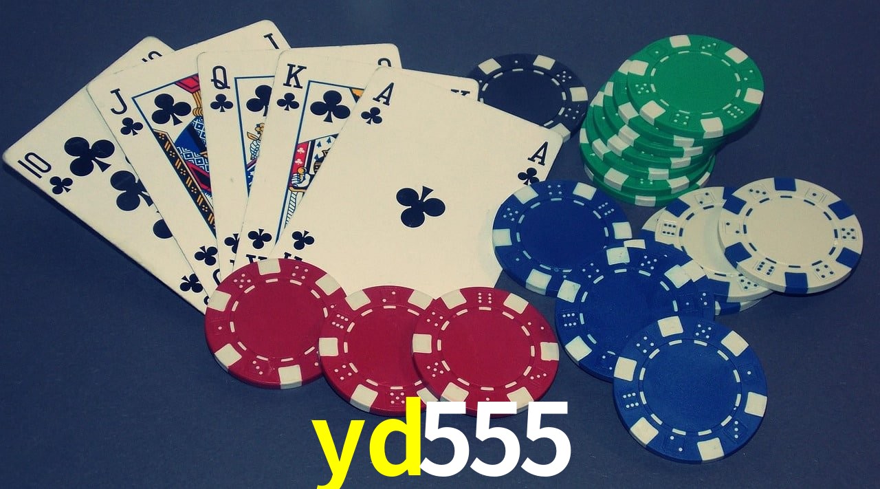 API Integration yd555